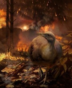 When the dinosaurs died, so did forests and tree-dwelling birds | Amazing Science | Scoop.it