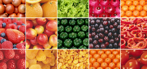 Premi&egrave;re AG pour EUFRUIT : favoriser l&rsquo;acc&egrave;s &agrave; la recherche et l&rsquo;innovation pour les fruits | IPCI : Ing&eacute;nierie de Produits &agrave; l'interface Cuisine-Industrie | Scoop.it