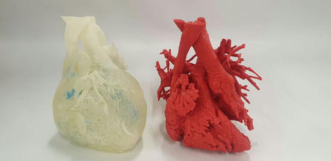 3D LifePrints rebrands as Insight Surgery and achieves second FDA clearance | 3DM-Shop news | Scoop.it