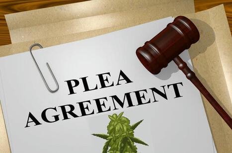 Chairman of High Times Pleads Guilty to $20 Million in Securities Fraud, Then Decides to Change His Guilty Plea? | Cannabis.Net | Scoop.it