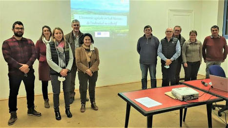 Quel avenir pour la filière viande ? | Actualité Bétail | Scoop.it