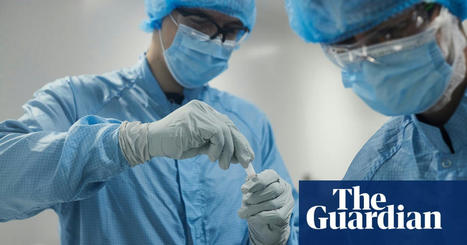 Professor Sarah Gilbert on the legacy of lockdown: We must ensure we are better prepared for future outbreaks | Coronavirus | The Guardian | Complex Insight  - Understanding our world | Scoop.it
