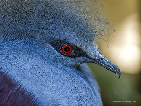 Control the Outcome | Mirrorless Cameras | Scoop.it