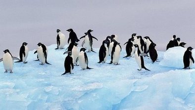 Deal on huge marine reserves blocked | Coastal Restoration | Scoop.it