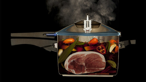 How a Pressure Cooker Can Turn Up the Heat on Your Valentine’s Dinner - Gizmodo | Modernist Cuisine | Scoop.it