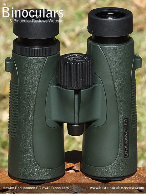 hawke endurance ed 8x32 binoculars