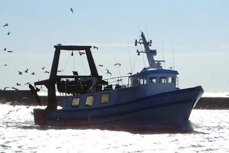 P&Ecirc;CHE : Quotas de maquereaux : Bloom d&eacute;nonce un &laquo;&nbsp;tour de passe-passe&nbsp;&raquo; | CIHEAM Press Review | Scoop.it