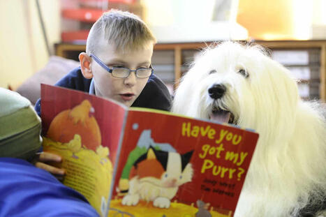 [USA] &Agrave; Sacramento, les enfants lisent aux chiens (qui ne les corrigent jamais) | L'actualit&eacute; des biblioth&egrave;ques | Scoop.it