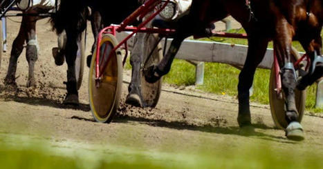 Cape Breton standardbred trainer suspended two years by Alcohol and Gaming Commission of Ontario | SaltWire | Racing Regulatory Issues | Scoop.it