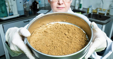 Marine ingredients expected to see ongoing price support into 2023 | CORPS GRAS | Scoop.it