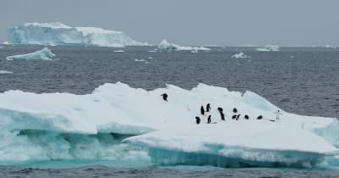 No quick fix to reverse Antarctic sea ice loss as warming intensifies - scientists - Reuters UK | Agents of Behemoth | Scoop.it