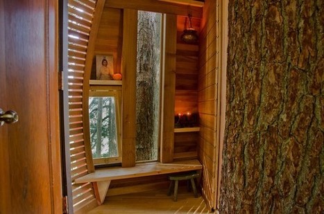 Secret HemLoft Treehouse in Canadian Woods | 1001 Gardens | 1001 Gardens ideas ! | Scoop.it