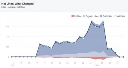 Comment le Community Manager peut-il apprendre des Facebook Insights ? | Community Management | Scoop.it