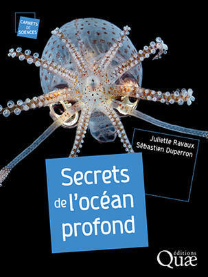 Secrets de l'oc&eacute;an profond - Quae | Biodiversit&eacute; | Scoop.it