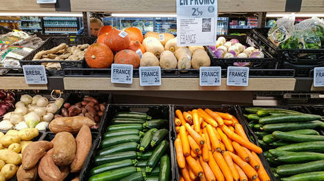 INFOGRAPHIES : Les fruits et légumes cultivés en France sont-ils vraiment plus chers que ceux produits à l'étranger ? | FRUITS ET LÉGUMES | Scoop.it