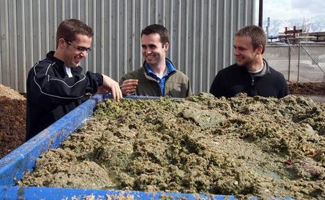 EcoScraps makes millions getting stores to buy back their own garbage | The EcoPlum Daily | Scoop.it