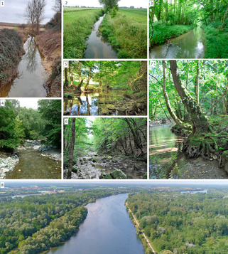 Végétalisons nos cours d’eau : les ripisylves, un habitat aux multiples bénéfices | Veille territoriale AURH | Scoop.it