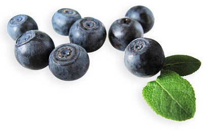 Arctic Bilberry - Expectional nutritional values | 1Uutiset - Lukemisen tähden | Scoop.it