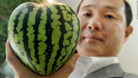 $27,000 melons? Japan's expensive fruit habit | consumer psychology | Scoop.it