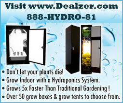 Dr. Weil on EWG's Shopper's Guide to Pesticides VIDEO | YOUR FOOD, YOUR ENVIRONMENT, YOUR HEALTH: #Biotech #GMOs #Pesticides #Chemicals #FactoryFarms #CAFOs #BigFood | Scoop.it