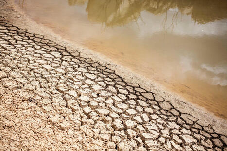 The Business Case For Climate Adaptation | Sustainability | Scoop.it