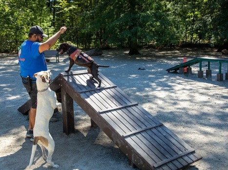 Grocery Store Garbage Recycled Into Dog Park Equipment At South Mountain Reservation | Millburn, NJ Patch | Industry 411 - Waste Management | Scoop.it