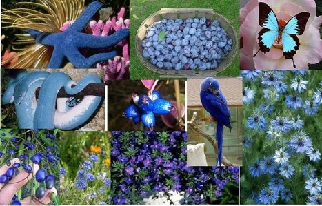 Pourquoi le ciel est bleu&hellip; ou pas (2/2) | Caf&eacute; des Sciences | Scoop.it