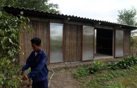 Au Vietnam, une nouvelle génération de maisons résistantes et peu chères | Planète DDurable | Scoop.it