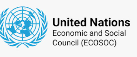The Committee on NGOs | Economic and Social Council | Global Public Goods and Bads, Culture, Social Policy, Population and Migration, NGO's, NonProfit | Scoop.it