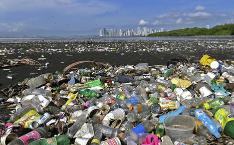 Scientists Say It’s Time to Phase Out Plastics to Stop Sea of Pollution - EcoWatch.com | Agents of Behemoth | Scoop.it