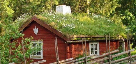 Végétalisez votre toit | YeloMart | Build Green, pour un habitat écologique | Scoop.it