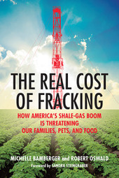 The Real Cost of Fracking: How America’s Shale Gas Boom Is Threatening Our Families, Pets, and Food | Peer2Politics | Scoop.it
