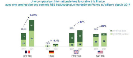 La #RSE s'engouffre dans les Conseils d'administration des grandes entreprises | RSE et Développement Durable | Scoop.it