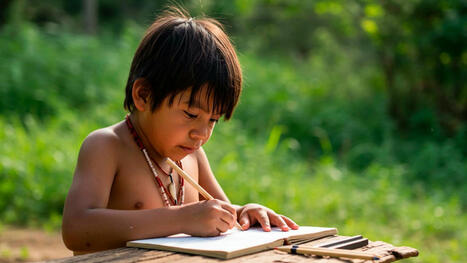 CUED: Educación en la Amazonía: hacia una ciudadanía verde | Educación a Distancia y TIC | Scoop.it