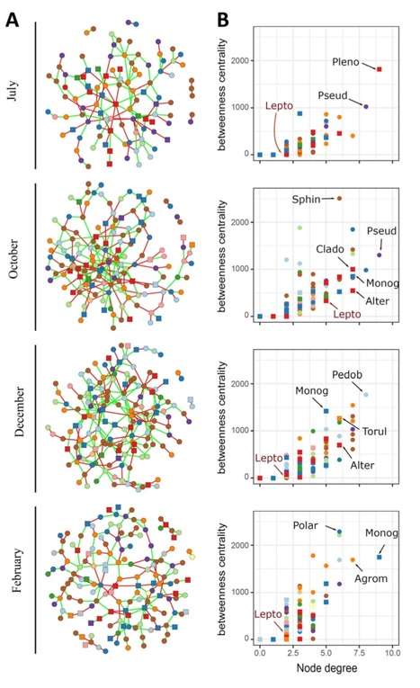 bioRxiv: Impact of a resistance gene against a fungal pathogen on the plant host residue microbiome: the case of the Leptosphaeria maculans-Brassica napus pathosystem (2020) | Plants and Microbes | Scoop.it