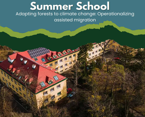 FORESTS : Summer School on Assisted Migration 2026 | CIHEAM Press Review | Scoop.it
