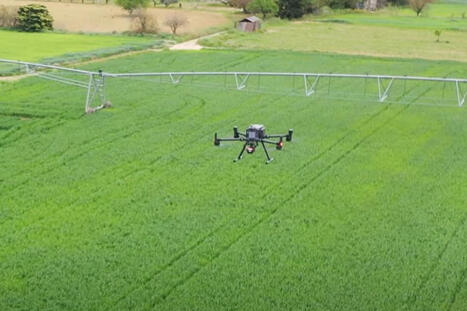 La recherche en agriculture recourt aux drones et à l’IA pour faire face au changement climatique | Revue de presse du Centre de doc | Scoop.it