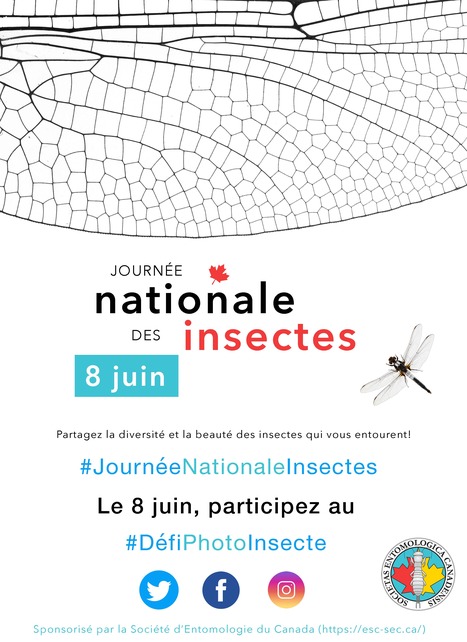 Journée Nationale des Insectes 2021 – Société d’Entomologie du Canada | Histoires Naturelles | Scoop.it