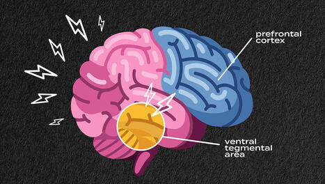 Study Explores Link Between Stress and Addiction Risk | Ole Miss | Stress Management | Scoop.it