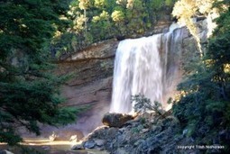 How to research: Staying out of the whirlpool | Trish Nicholson | How to find and tell your story | Scoop.it