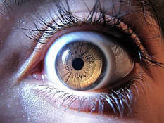 Actualité > En vidéo : écrire avec ses yeux, c’est possible ! | UseNum - Handicap | Scoop.it