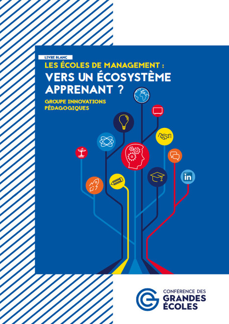 Les écoles de management : vers un écosystème apprenant ? | Formation : Innovations et EdTech | Scoop.it