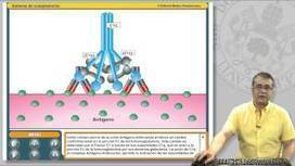 Immunopills collection ordered by topic: Complement System | Immunology for University Students | Scoop.it