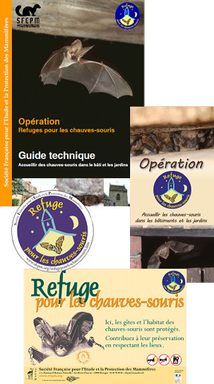 Opération refuge pour les chauves-souris - SFEPM | Biodiversité | Scoop.it