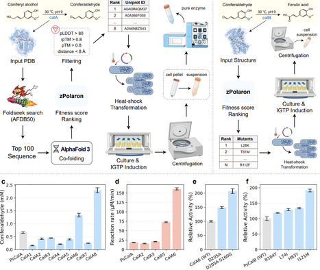 Filling the Missing Puzzle: Integrating Interaction and Evolutionary Information to Enhance Protein Fitness Prediction in Inverse Folding | brvai | RMH | Scoop.it