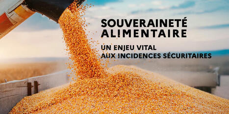 Souveraineté alimentaire : un enjeu vital aux incidences sécuritaires | AGROALIMENTAIRE | Scoop.it