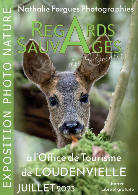Exposition de photos nature à Loudenvielle en juillet 2023 | Vallées d'Aure & Louron - Pyrénées | Scoop.it