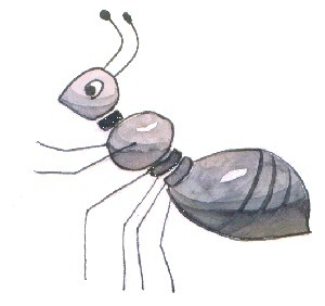 L’histoire de la fourmi qui n’abandonne jamais | En route vers la richesse intérieure ! | Nouveaux paradigmes | Scoop.it
