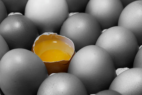 La coquille d’œuf de poule et ses molécules antimicrobiennes  | Alimentation Santé Environnement | Scoop.it
