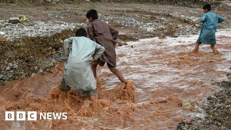 Pakistan: Lightning and unusually heavy rain kill dozens | Coastal Restoration | Scoop.it